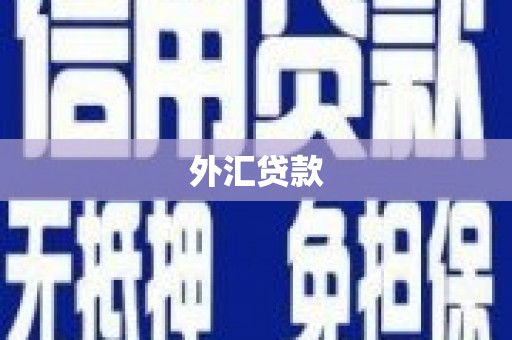 沐川外汇贷款