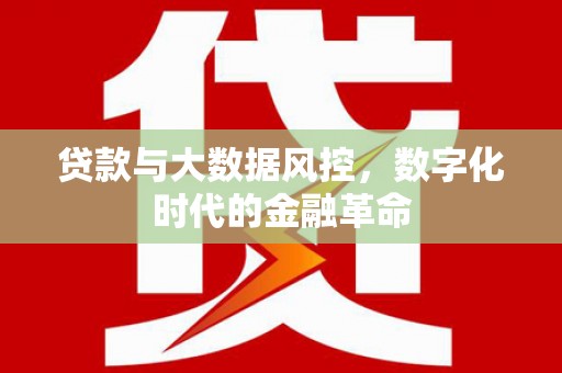 沐川贷款与大数据风控，数字化时代的金融革命