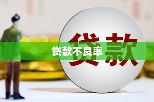 沐川贷款不良率