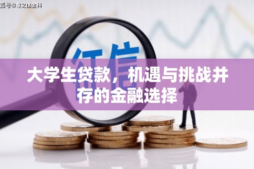 沐川大学生贷款，机遇与挑战并存的金融选择