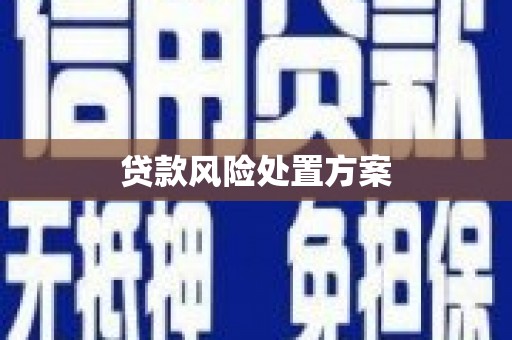 沐川贷款风险处置方案
