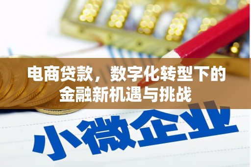 沐川电商贷款，数字化转型下的金融新机遇与挑战