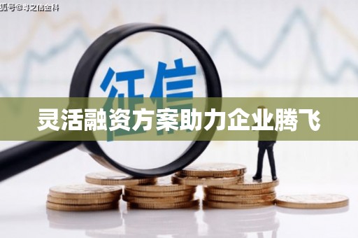 沐川灵活融资方案助力企业腾飞