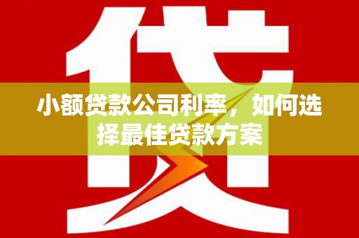 沐川小额贷款公司利率，如何选择最佳贷款方案