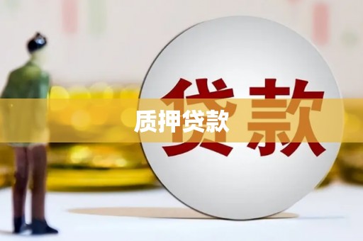沐川质押贷款