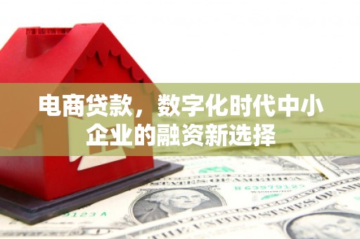 沐川电商贷款，数字化时代中小企业的融资新选择