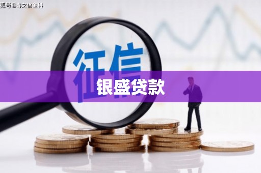 沐川银盛贷款
