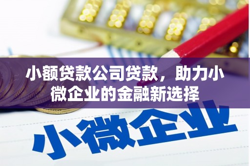 沐川小额贷款公司贷款，助力小微企业的金融新选择