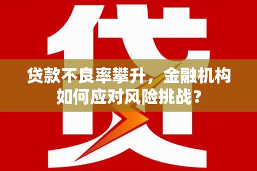 沐川贷款不良率攀升，金融机构如何应对风险挑战？