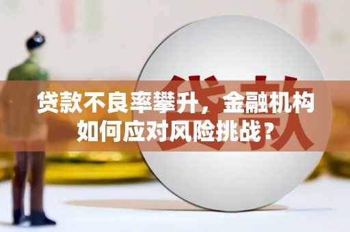 沐川贷款不良率攀升，金融机构如何应对风险挑战？