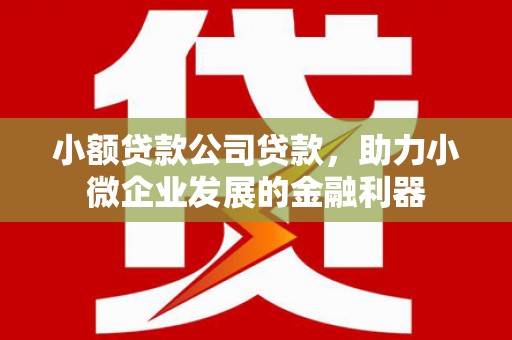 沐川小额贷款公司贷款，助力小微企业发展的金融利器