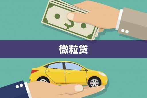 沐川微粒贷