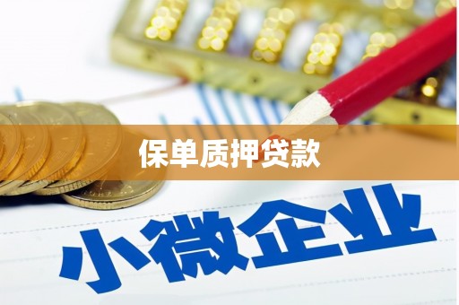 沐川保单质押贷款