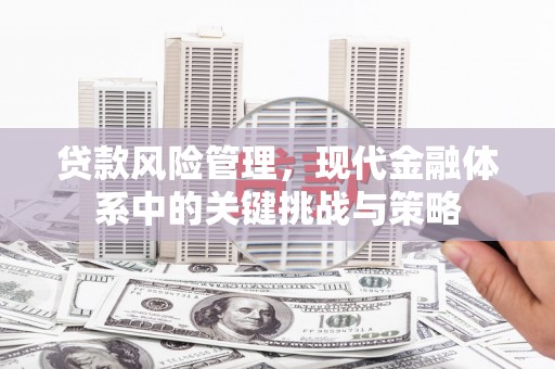 沐川贷款风险管理，现代金融体系中的关键挑战与策略