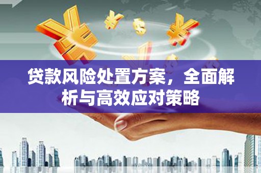 沐川贷款风险处置方案，全面解析与高效应对策略