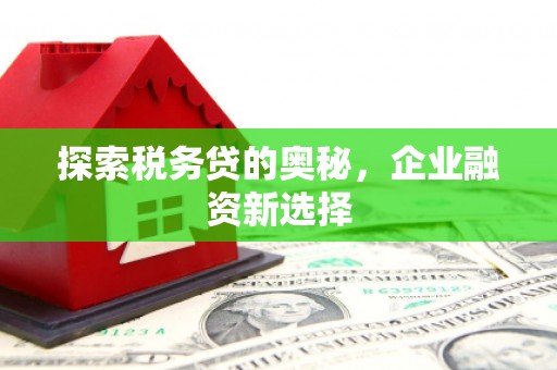 沐川探索税务贷的奥秘，企业融资新选择