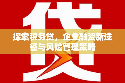 沐川探索税务贷，企业融资新途径与风险管理策略