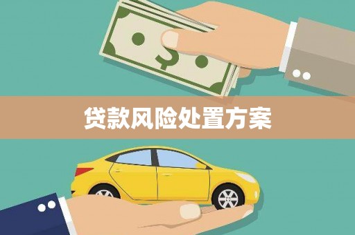 沐川贷款风险处置方案