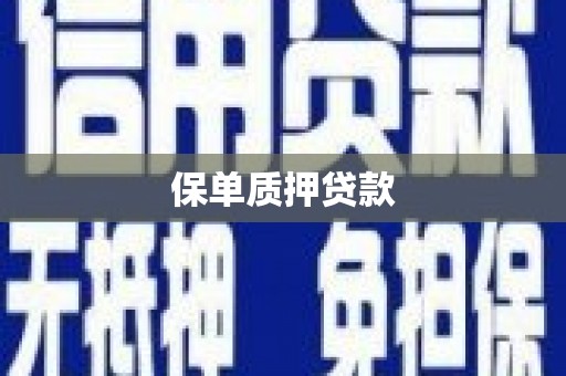 沐川保单质押贷款