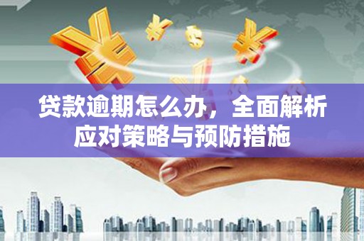 沐川贷款逾期怎么办，全面解析应对策略与预防措施