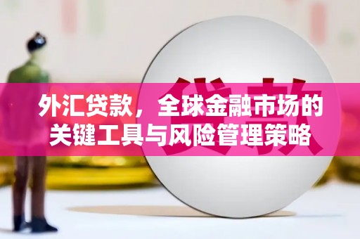 沐川外汇贷款，全球金融市场的关键工具与风险管理策略