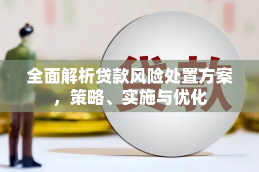 沐川全面解析贷款风险处置方案，策略、实施与优化