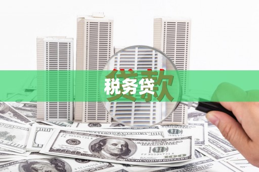 沐川税务贷