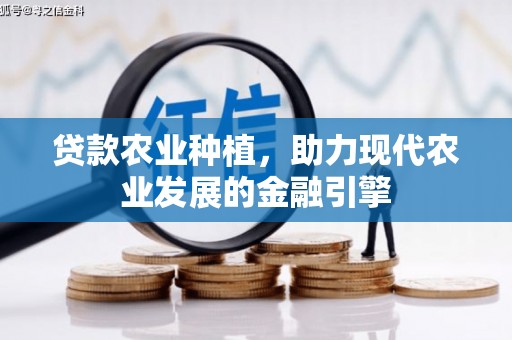 沐川贷款农业种植，助力现代农业发展的金融引擎