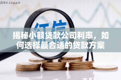 沐川揭秘小额贷款公司利率，如何选择最合适的贷款方案