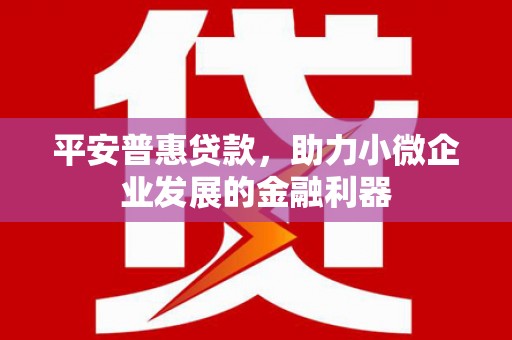 沐川平安普惠贷款，助力小微企业发展的金融利器