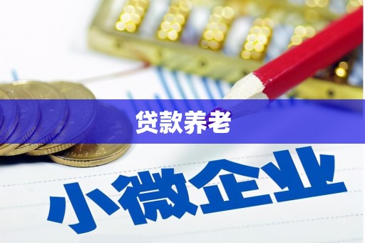沐川贷款养老