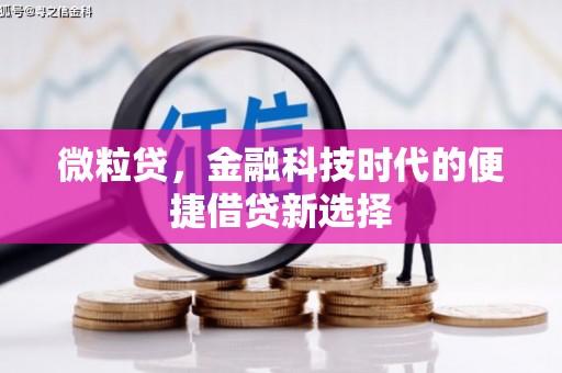 沐川微粒贷，金融科技时代的便捷借贷新选择
