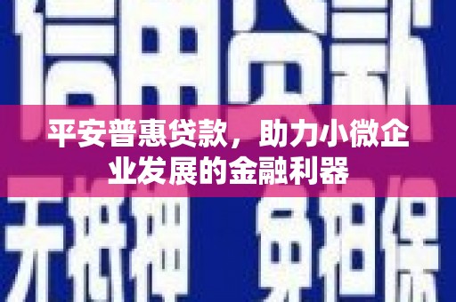 沐川平安普惠贷款，助力小微企业发展的金融利器