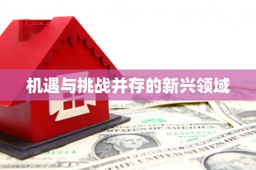 沐川机遇与挑战并存的新兴领域
