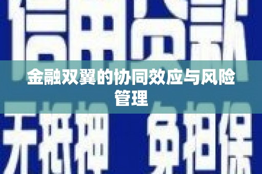 沐川金融双翼的协同效应与风险管理