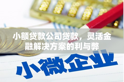 沐川小额贷款公司贷款，灵活金融解决方案的利与弊