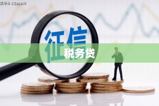 沐川税务贷
